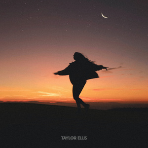 丹麦做爰露性器50部
